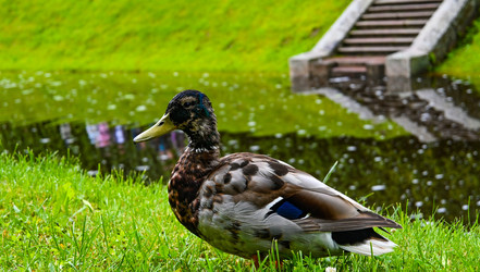 Similar image 22367353