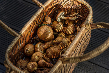 Similar image 22362941