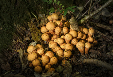 Similar image 22362942