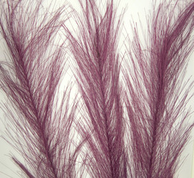 Similar image 22373514