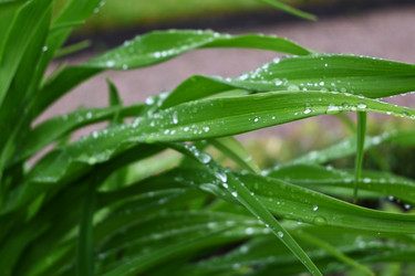 Similar image 22367369