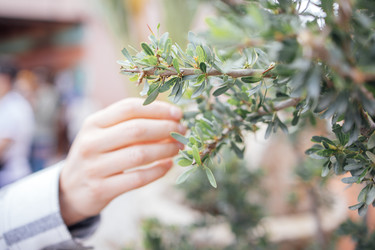 Similar image 22377685