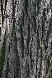 Similar image 22367398