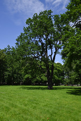 Similar image 22367401