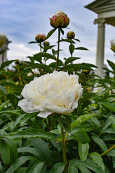 Similar image 22367415