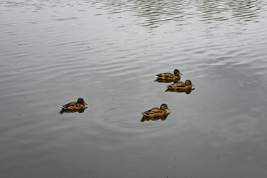 Similar image 22367416