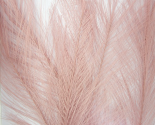 Similar image 22375743