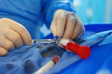 Similar image 22376177