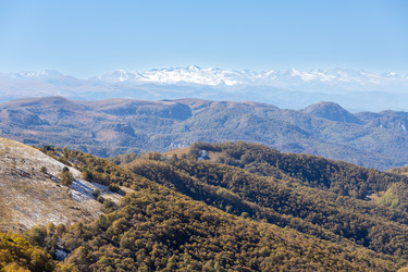 Similar image 22372742