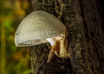 Similar image 22367568