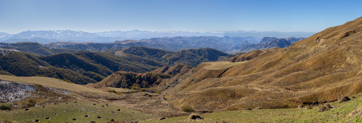 Similar image 22371803