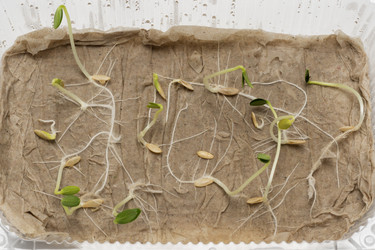 Similar image 22360751