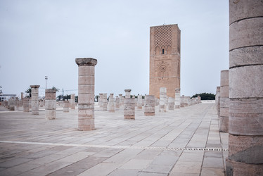 Similar image 22377702