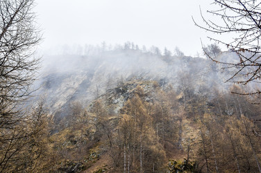 Similar image 22372086