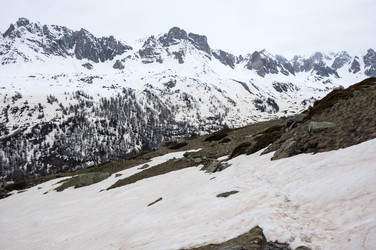 Similar image 22372221