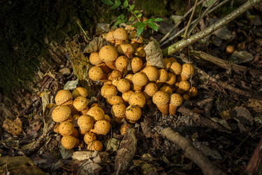 Similar image 22362990