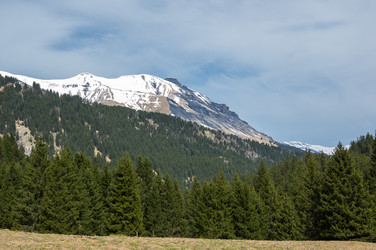 Similar image 22372552