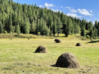 Similar image 22360779