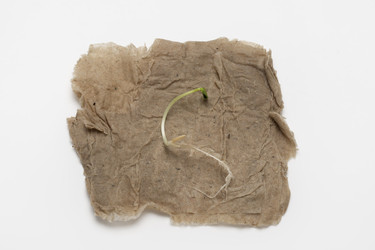 Similar image 22360732