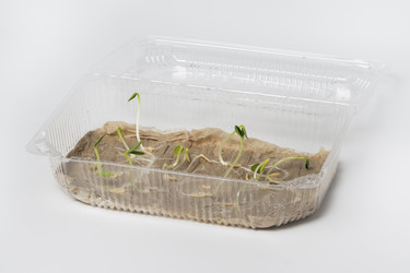 Similar image 22360733