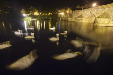 Similar image 22374445