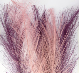 Similar image 22373518