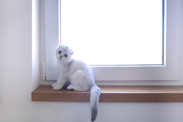 Similar image 22377607