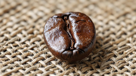 Similar image 22373751