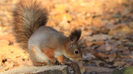 Similar image 22373477