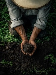 Similar image 22373964