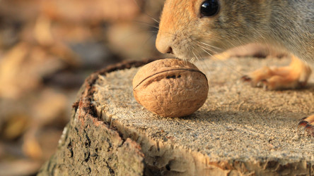 Similar image 22381532