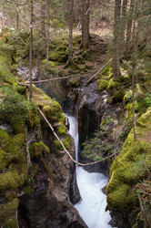 Similar image 22372027