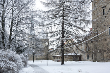 Similar image 22372581