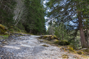 Similar image 22372611