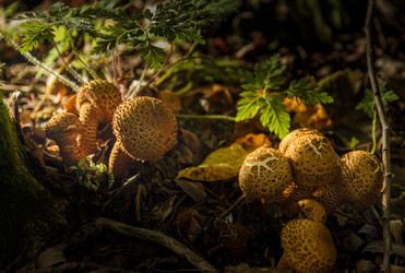 Similar image 22362927