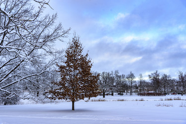 Similar image 22362929