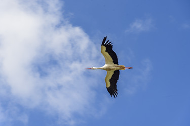 Similar image 22362931