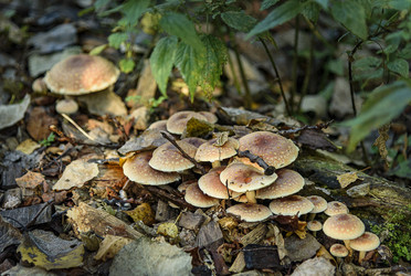 Similar image 22362932