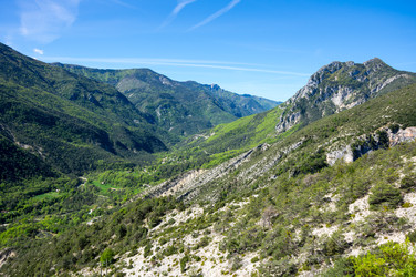 Similar image 22371834