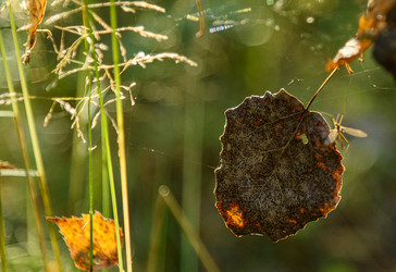 Similar image 22362945