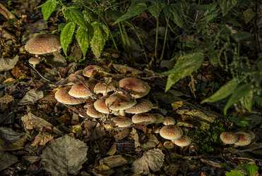 Similar image 22362947