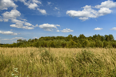 Similar image 22362957