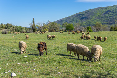 Similar image 22371895