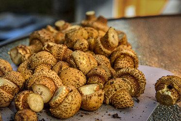 Similar image 22362959