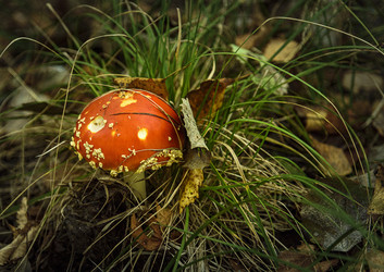 Similar image 22362962