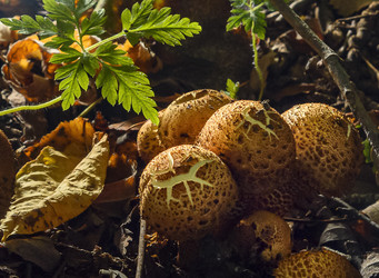 Similar image 22362963