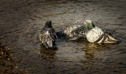 Similar image 22362965