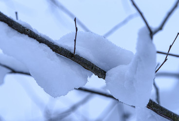 Similar image 22362983