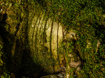 Similar image 22362993