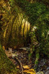 Similar image 22362994